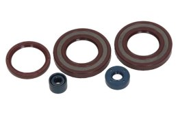 CENTAURO KOMPLET (ZESTAW) USZCZELNIACZY SILNIKOWYCH HUSQVARNA TE/WXE 350 '90-'95 , WXE 610 '90-'96 , TE 570