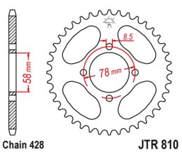 JT ZĘBATKA TYLNA 810 36 SUZUKI GN 125 '82-'00 (-6) (81036JT) (ŁAŃC. 428)