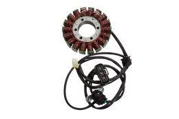 ELECTROSPORT 2025/02 UZWOJENIE ALTERNATORA STATOR TRIUMPH TIGER 800