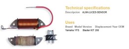 DZE CEWKA WZBUDZENIA + IMPULSATOR YAMAHA YFS 200 BLASTER DZE ELEKTRYKA