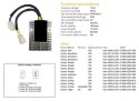 DZE REGULATOR NAPIĘCIA KYMCO XCTING 250/500 '06-'11; DINK 200 '06-'13; PEOPLE 125/200/250 '07-'14 (ESR921) DZE ELEKTRYKA