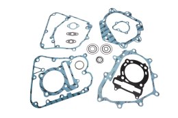 XRADICAL (ARTEIN GASKETS) KOMPLET USZCZELEK KYMCO PEOPLE S 250 / S I 250 '06-'07 , X-CITING 250 / 250 i '05-'07 ARTEIN GASKETS