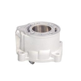 PROMX 2024/05 CYLINDER KTM SX 65 '09-'23 , HUSQVARNA TC 65 '17-'23 , GAS GAS MC 65 '21-'23 (STD 45MM) NICASIL PROMX