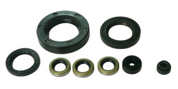 TOURMAX KOMPLET (ZESTAW) USZCZELNIACZY SILNIKOWYCH KAWASAKI Z 900 '73-'76, Z1000 A,B,H,MK2,P,ST '77-'80 (MADE IN JAPAN) TOURMAX