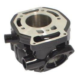 ATHENA CYLINDER HONDA MTX R2H 125 , NS F 125 , 56,00MM NICASYL ATHENA