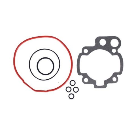 RMS USZCZELKI TOP-END MINARELLI AM6 D.49 73.5CC (EVOK) RMS