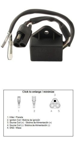 DZE MODUŁ ZAPŁONU CDI POLARIS 250R/ES TRAIL BOSS '88 (3083910) DZE ELEKTRYKA