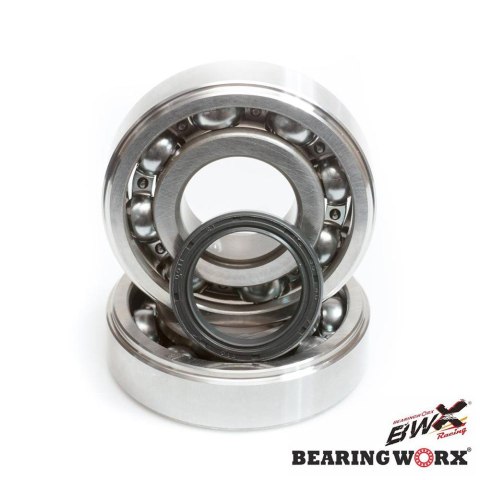 BEARING WORX ŁOŻYSKA WAŁU KORBOWEGO Z USZCZELNIACZAMI SUZUKI RMZ 450 05-07 (NTN) (MADE IN JAPAN) (23.CBS34005) (K050) BEARING WORX