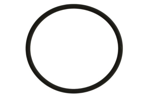 ATHENA 2026/01 USZCZELKA (O-RING VITON) (39,34, X 44,58 X 2,62MM) BMW, SUZUKI, CAGIVA (OEM: 11611465169; 800027073; 0928040020;  ATHENA