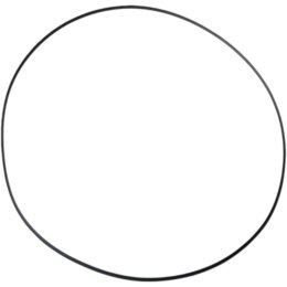 ATHENA 2026/01 USZCZELKA POKRYWY SPRZĘGŁA (ZEWNĘTRZNA) (O-RING NBR) (200 X 206 X 3MM) POLARIS (OEM: 5412458) ATHENA