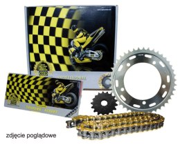 REGINA ZESTAW NAPĘDOWY HONDA VFR 800 V-TEC 02-03 (16/43/110/530ZRT) ŁAŃCUCH DO 1000 CCM ZŁOTY (Z-RING), ZĘBATKA P/T AFAM REGINA