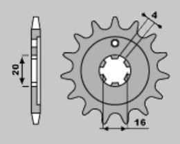 JR ZĘBATKA PRZEDNIA 555 15