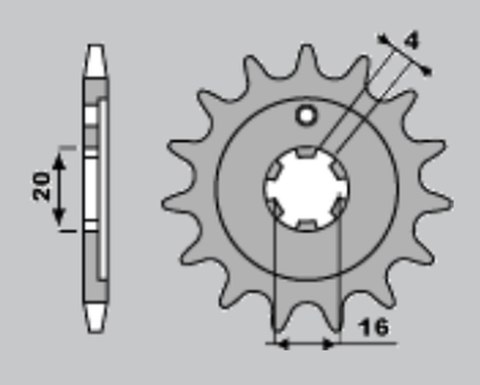 JR ZĘBATKA PRZEDNIA 555 15