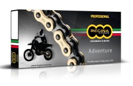 REGINA ŁAŃCUCH NAPĘDOWY 520ZRE (120 OGNIW) Z-RING ENDURO DO 650CCM (ZŁOTY) (ZAPINKA+ZAKUWKA PEŁNA+ ZAKUWKA DRĄŻONA) (135ZRE/1008