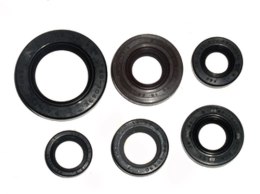 BRONCO KOMPLET (ZESTAW) USZCZELNIACZY SILNIKOWYCH HONDA TRX 300EX '93-'08