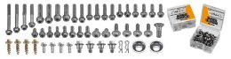 ACCEL KOMPLET ŚRUB TRACK PACK (MAŁY) EURO STYLE (50 ELEMENTÓW) (BKT-02)