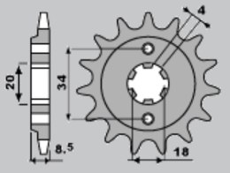 JR ZĘBATKA PRZEDNIA 2046 14