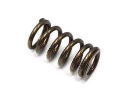 PSYCHIC SPRĘŻYNA ZAWORU WYDECHOWEGO HONDA CRF 450R '09-'16 (XU-09533ES)