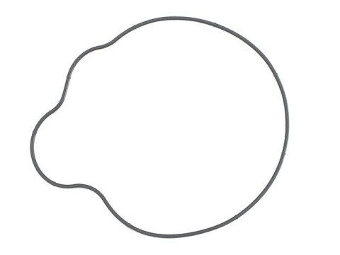 NAMURA USZCZELKA POKRYWY ALTERNATORA POLARIS SPORTSMAN 700 '04-'08, 800 EFI 05-14, RANGER 800 10-13, RZR 800 '08-10 (5412458) (Z