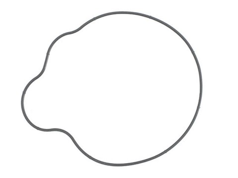 NAMURA USZCZELKA POKRYWY ALTERNATORA POLARIS SPORTSMAN 700 '04-'08, 800 EFI 05-14, RANGER 800 10-13, RZR 800 '08-10 (5412458) (Z