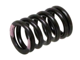 PSYCHIC SPRĘŻYNA ZAWORU SSĄCEGO KAWASAKI KXF 250 '11-'16 (MX-09539IS)