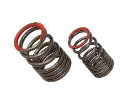 PSYCHIC SPRĘŻYNA ZAWORU WYDECHOWEGO KAWASAKI KXF 450 (KX 450F) '16-18