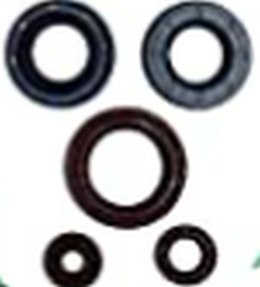 WINDEROSA (VERTEX) KOMPLET (ZESTAW) USZCZELNIACZY SILNIKOWYCH CAN-AM OUTLANDER DPS 450 EFI 15-20, OUTLANDER MAX DPS 450 EFI 15-2