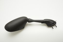 BIKETEC PARTS LUSTERKO YAMAHA YZF FZ1 '01-05, PRAWE