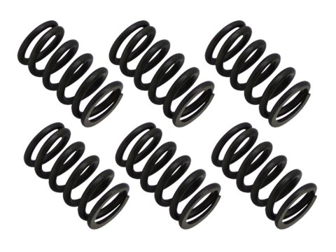 BRONCO SPRĘŻYNY SPRZĘGŁOWE HONDA ATC 250ES/SX, ATC 350X '85-'87, TRX 200D '91-'97, TRX 250X FOURTRAX '87-'92, TRX 300EX '93-'08,