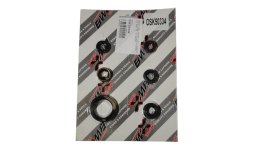 BEARING WORX KOMPLET (ZESTAW) USZCZELNIACZY SILNIKOWYCH KAWASAKI KFX 450R '08-'14 (822334)