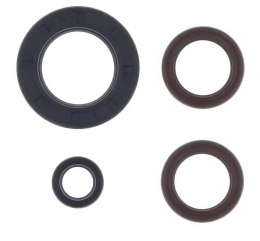 CENTAURO KOMPLET (ZESTAW) USZCZELNIACZY SILNIKOWYCH KTM GS 250 '80-'81 , MX 250 '80-'81