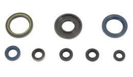 CENTAURO KOMPLET (ZESTAW) USZCZELNIACZY SILNIKOWYCH KTM GS 250 '87-'89 , MX 250 '85-'86