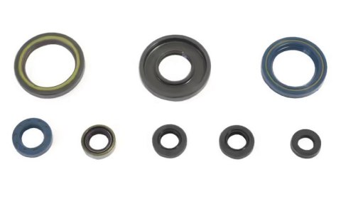 CENTAURO KOMPLET (ZESTAW) USZCZELNIACZY SILNIKOWYCH KTM GS 250 '87-'89 , MX 250 '85-'86