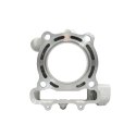 PROMX 2024/05 CYLINDER KAWASAKI KXF 250 '09-'16 (STD 77MM) NICASIL