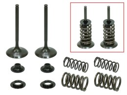 PSYCHIC 2024/03 ZAWORY SSĄCE (KOMPLET ZAWORÓW ZE SPRĘŻYNAMI I PODKŁADKAMI) HONDA CRF 450 X '05-'16 STALOWY (MX-09503I) (35X5,45X