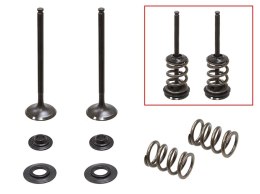 PSYCHIC 2024/03 ZAWORY WYDECHOWE (KOMPLET ZAWORÓW ZE SPRĘŻYNAMI I PODKŁADKAMI) HUSABERG FE 250 '13, KTM EXCF 250 '08-'14 (MX-095