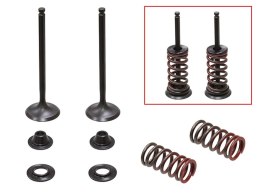 PSYCHIC 2024/03 ZAWORY WYDECHOWE (KOMPLET ZAWORÓW ZE SPRĘŻYNAMI I PODKŁADKAMI) YAMAHA WRF 250 '01-'13 (WR 250F) STALOWY (MX-0952