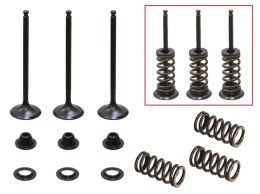 PSYCHIC 2024/08 ZAWORY SSĄCE (KOMPLET ZAWORÓW ZE SPRĘŻYNAMI I PODKŁADKAMI) YAMAHA YZF 250 '01-'13, GAS GAS EC 250F '10-15, 300F 